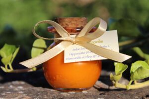 Onguent à la Propolis